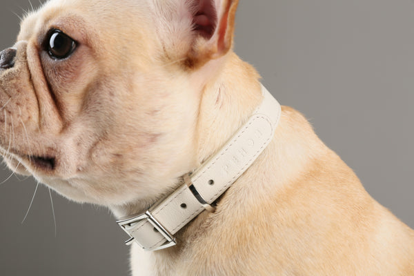 Andersen Calfskin Pet Collar