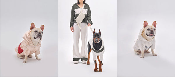 Fashion for Dogs