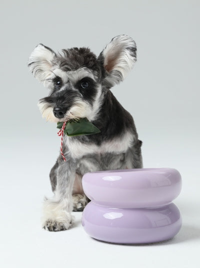 Soufflé Pet Bowl - Purple