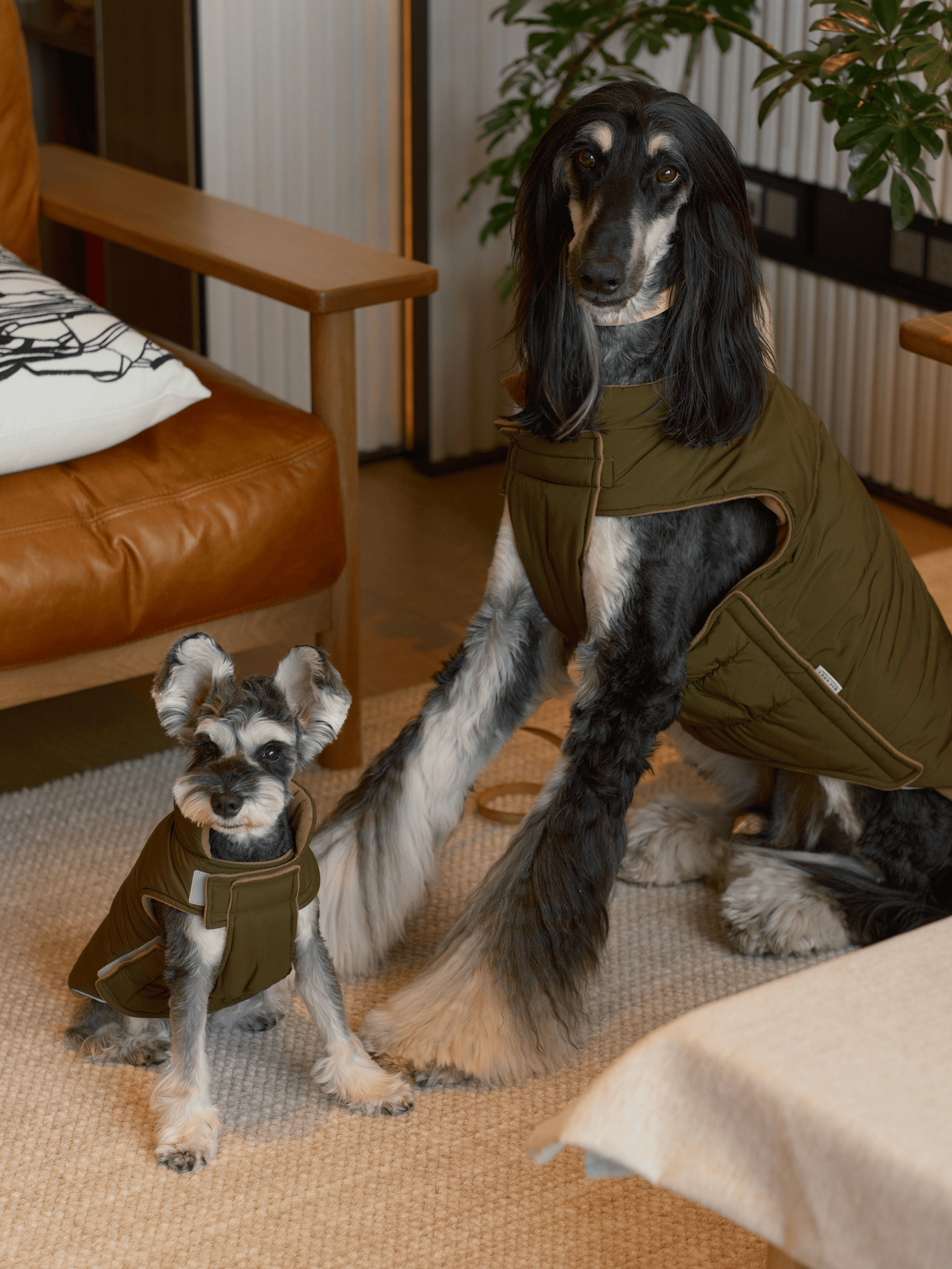 PEHOM｜REVERSIBLE DOG VEST JACKET - GREEN BROWN – pehomnyc