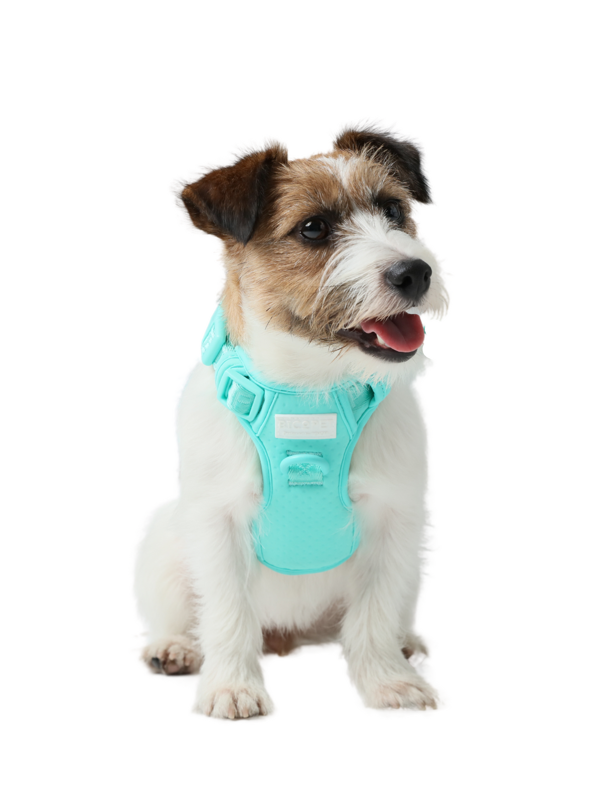 PEHOM | OUTDOOR ACCESSORY – pehomnyc