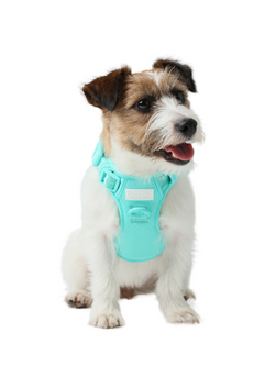 NO PULL ACTIVE  PET HARNESS - MINT GREEN