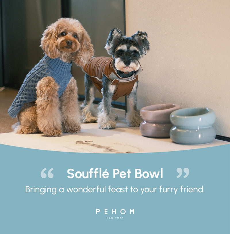 Soufflé Pet Bowl - Frozen Blue