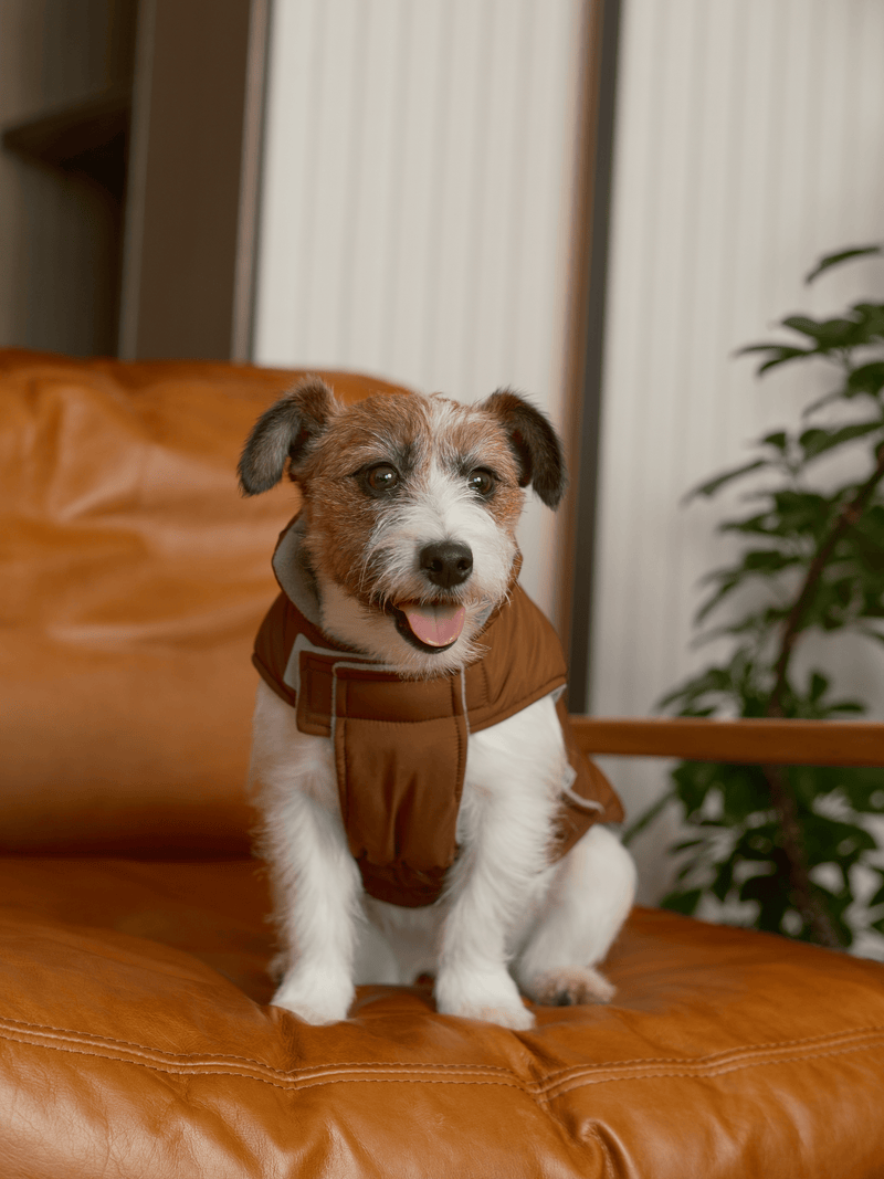 Reversible Dog Vest Jacket - Orange Grey