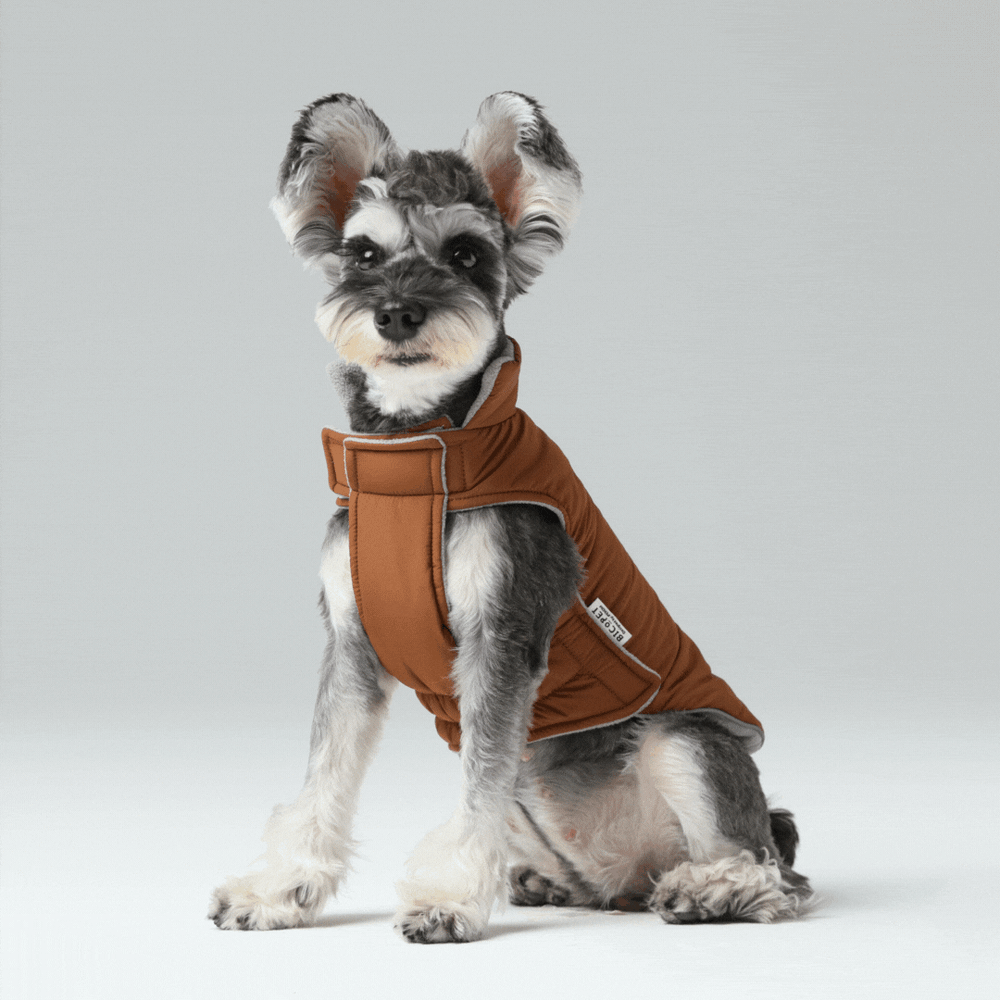 PEHOM｜REVERSIBLE DOG VEST JACKET - ORANGE GREY – pehomnyc