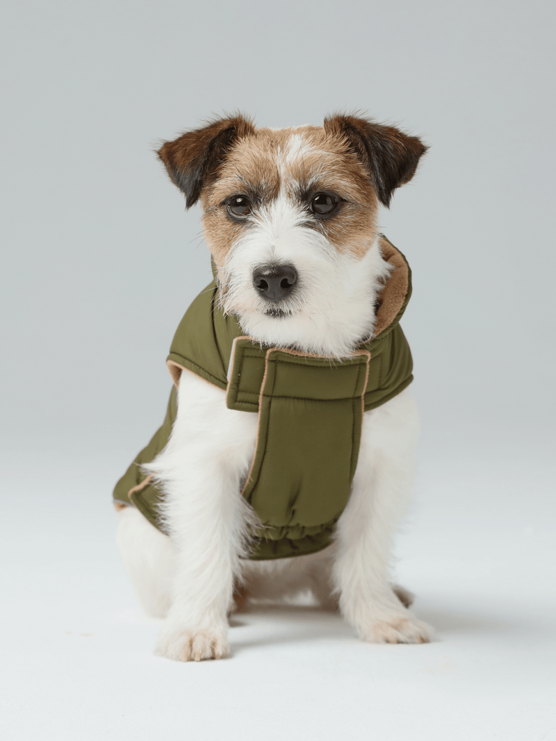 Reversible Dog Vest Jacket - Green Brown