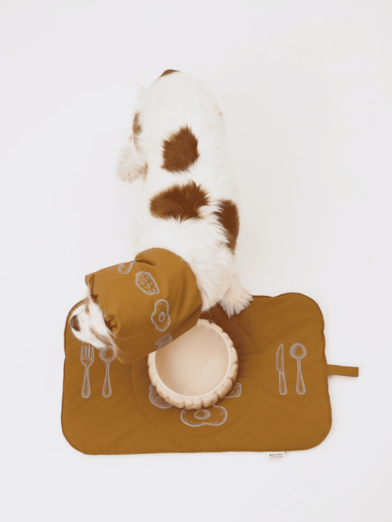 ドッグフード SHO53 PEHOM｜Bistro Mat & Snood – pehomnyc