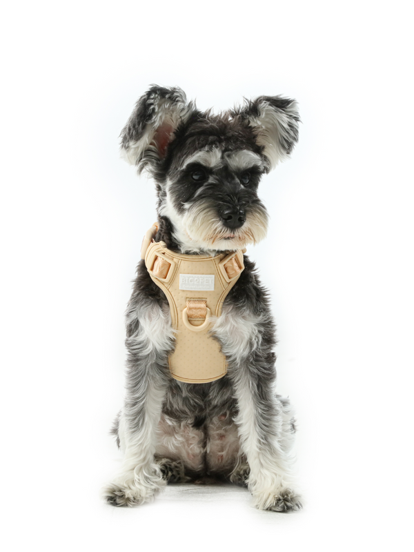 NO PULL ACTIVE  PET HARNESS - APRICOT