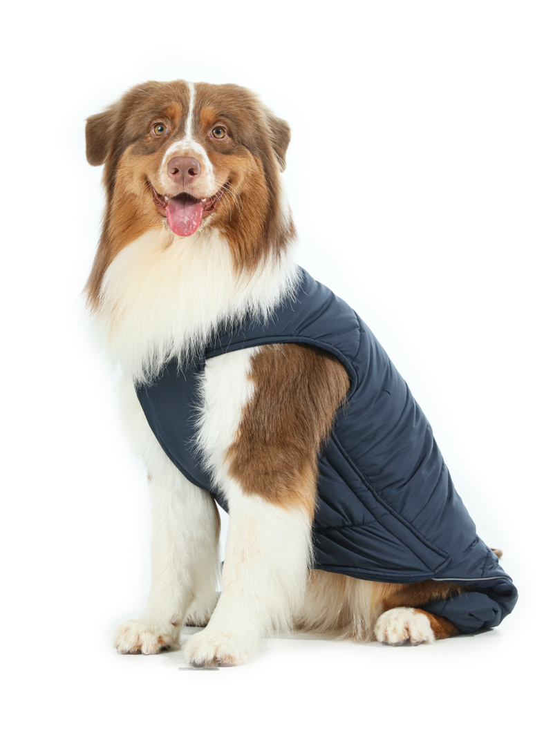 Reversible Dog Vest Jacket - Blue