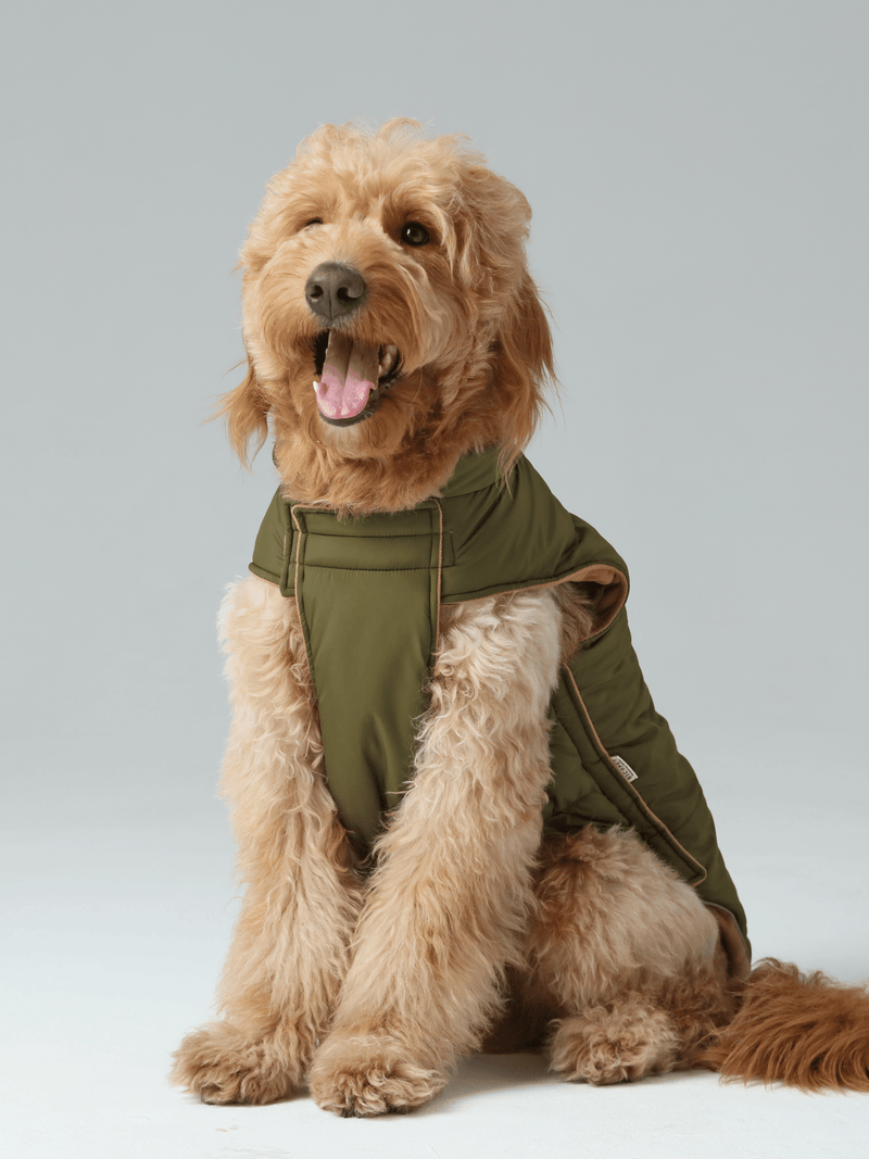 Reversible Dog Vest Jacket - Green Brown