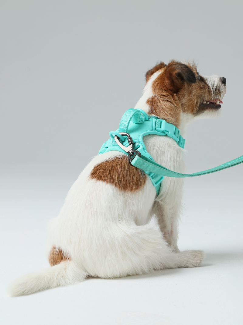 NO PULL ACTIVE  PET HARNESS - MINT GREEN