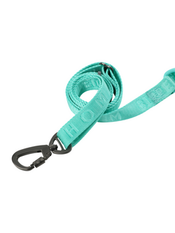 PADDED  ACTIVE  PET LEASH  - MINT GREEN