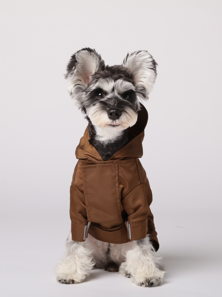 PEHOM|TRIBECA ADJUSTABLE VELCRO RAINCOAT - CHOCO – pehomnyc PEHOM|TRIBECA ADJUSTABLE VELCRO RAINCOAT - CHOCO – pehomnyc