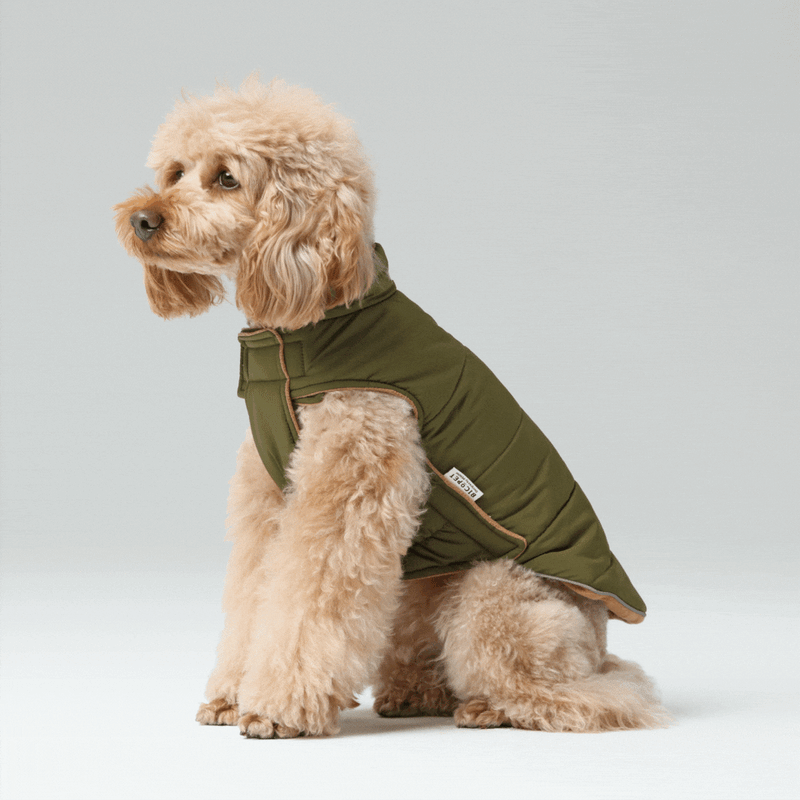 PEHOM REVERSIBLE DOG VEST JACKET GREEN BROWN pehomnyc