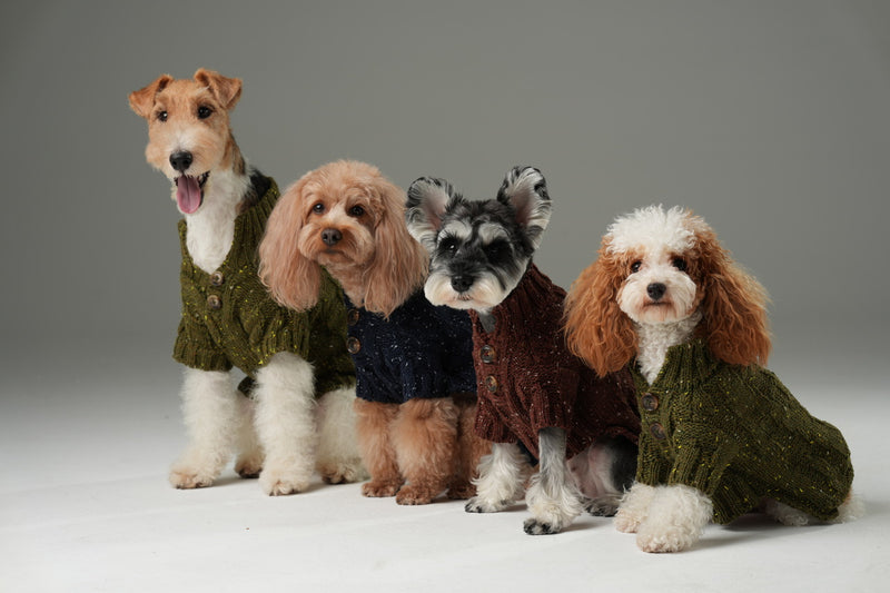 GLACIER PET SWEATER - BURGUNDY