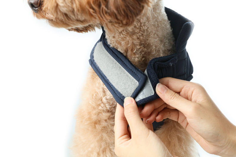 Reversible Dog Vest Jacket - Blue