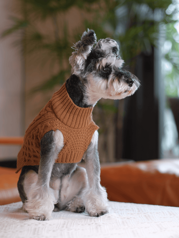 Pet Sweater Vest - Toffee Orange