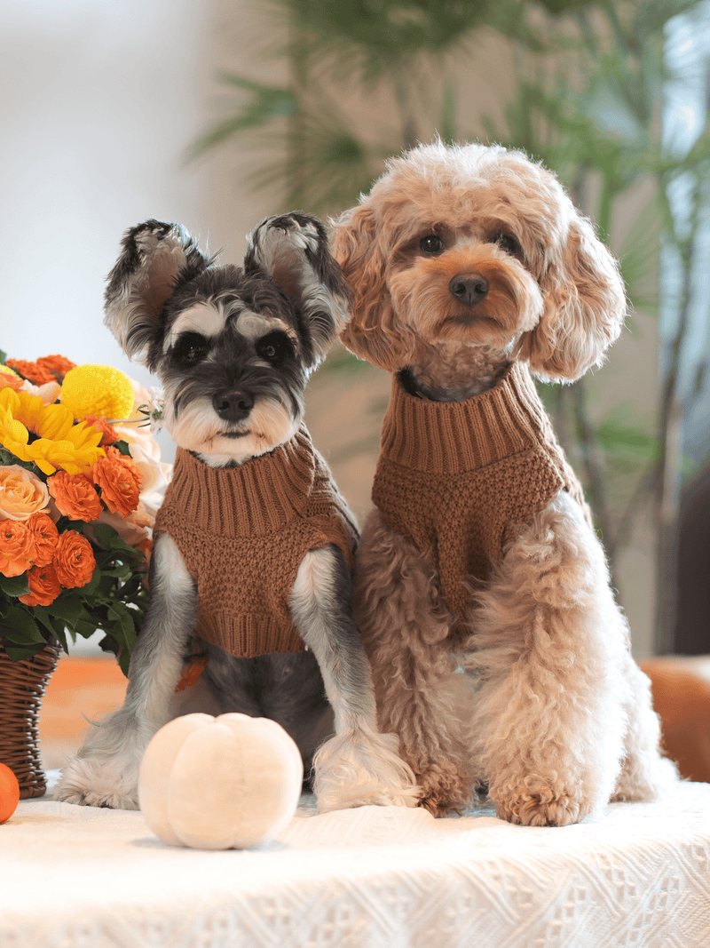 Pet Sweater Vest - Toffee Orange