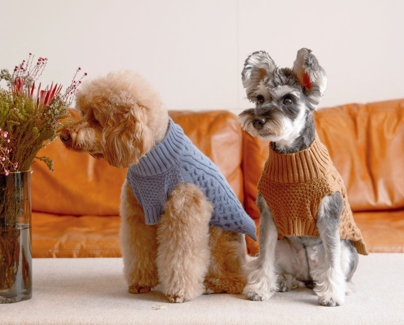 Pet Sweater Vest - Ice Blue