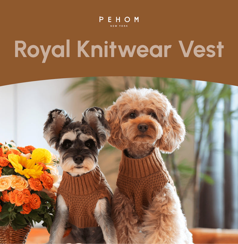 Pet Sweater Vest - Toffee Orange