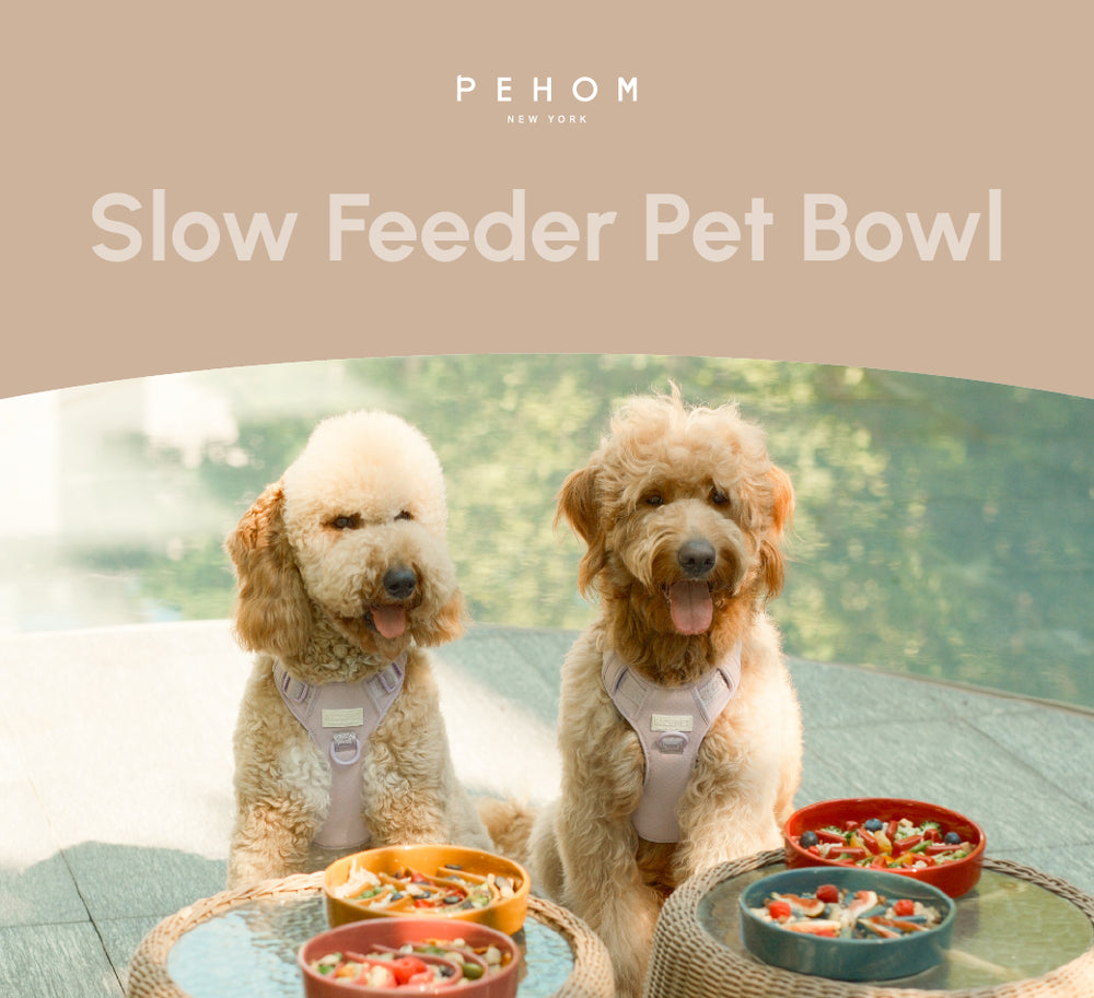 PEHOM｜Slow Feeder Dog Bowls