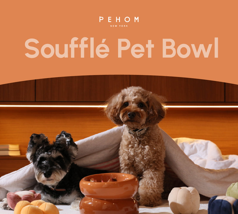 Soufflé Pet Bowl - Amber Orange