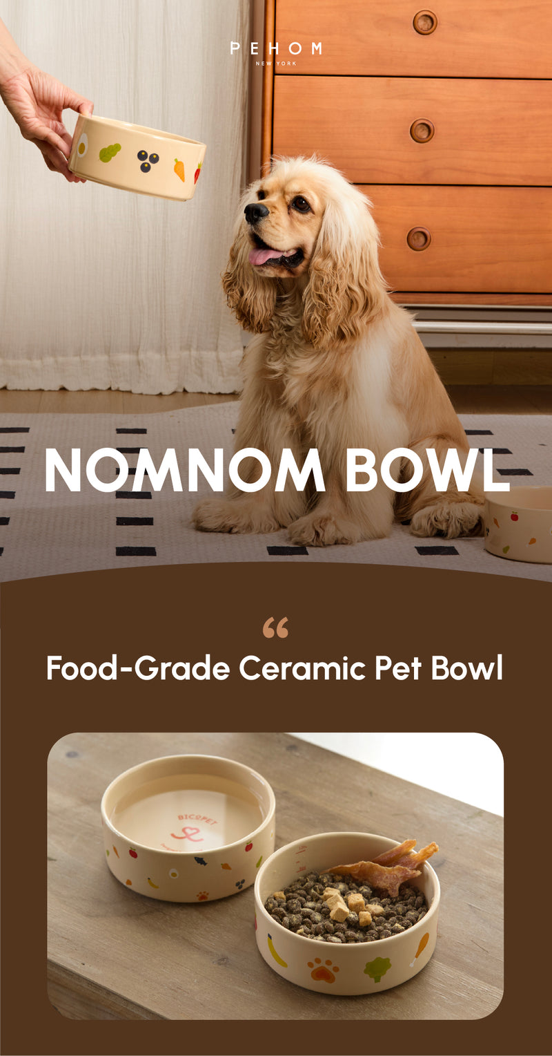 Ceramic Pet Bowl - Nomnom Bowl