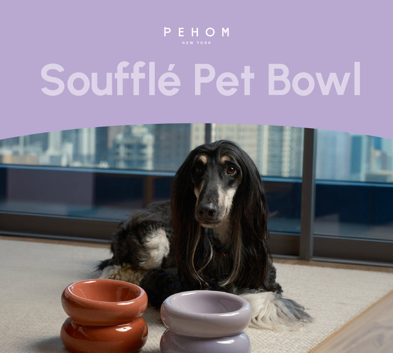 Soufflé Pet Bowl - Purple