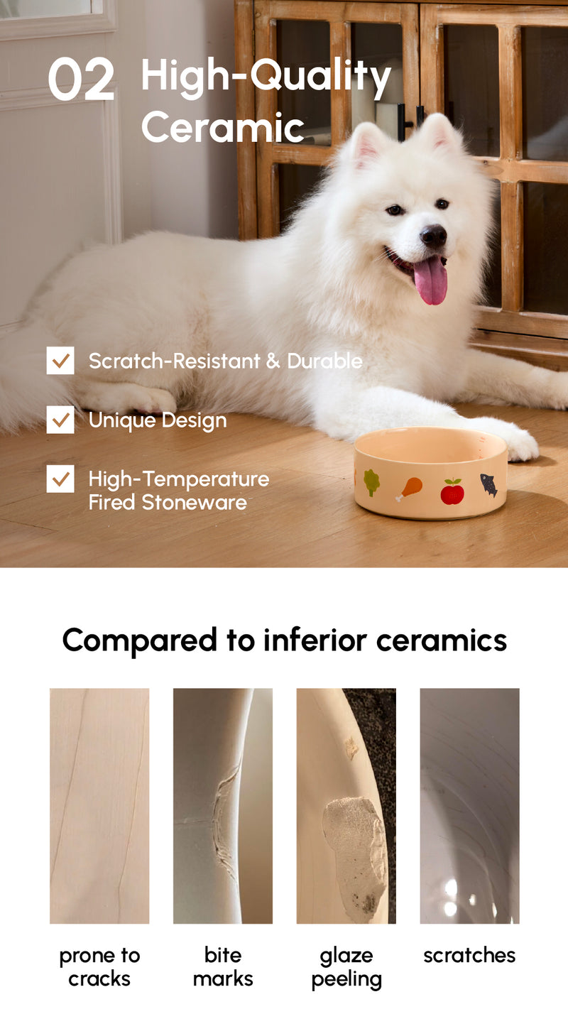 Ceramic Pet Bowl - Nomnom Bowl