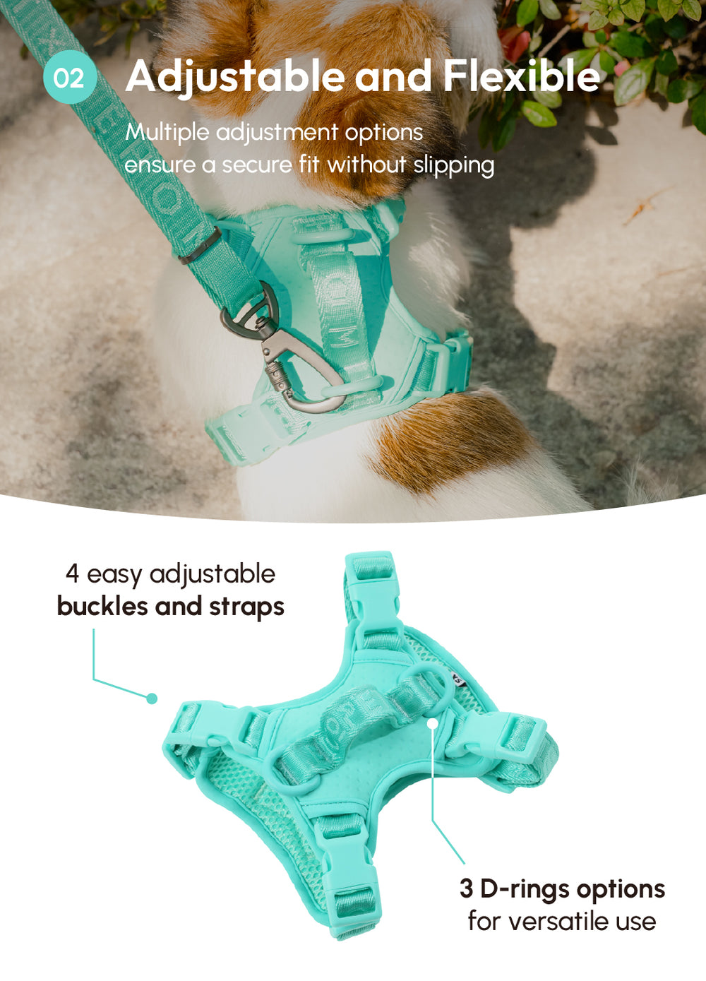 PEHOM｜NO PULL ACTIVE PET HARNESS - MINT GREEN – pehomnyc