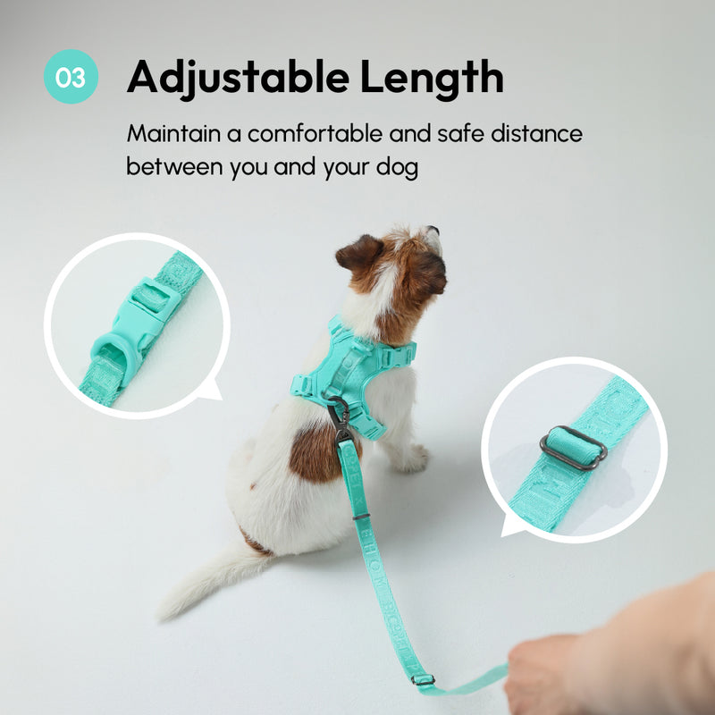 PADDED  ACTIVE  PET LEASH  - MINT GREEN