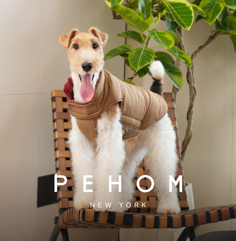Reversible Dog Vest Jacket -  Red Brown
