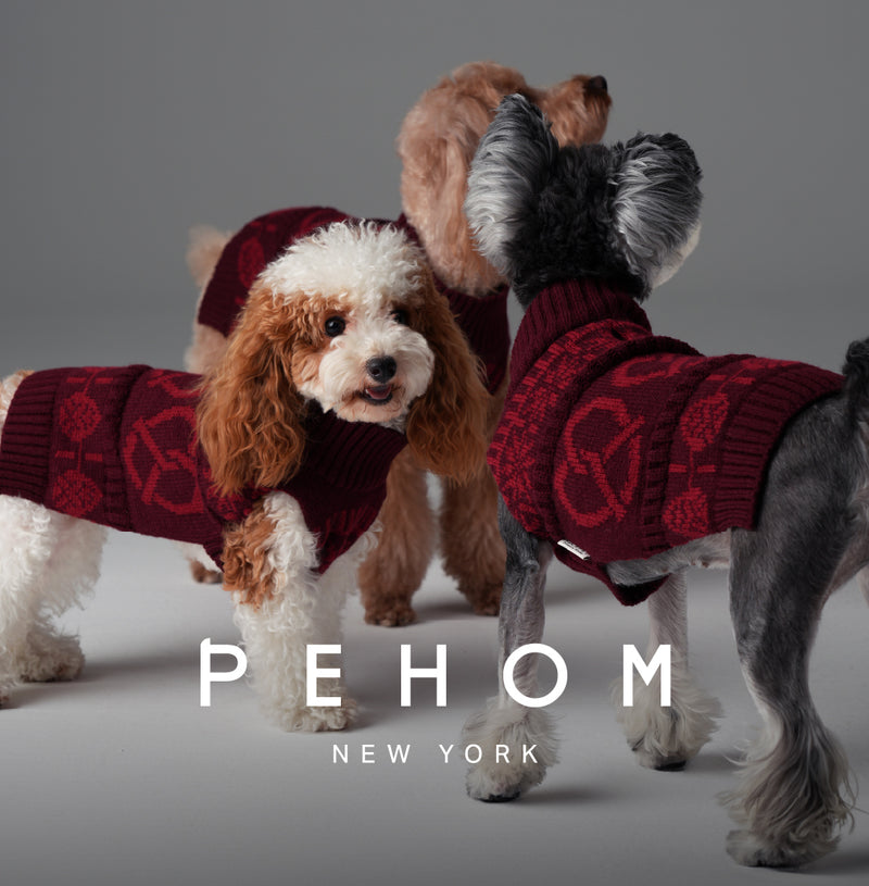 Pretzel Pet Sweater - Burgundy Red