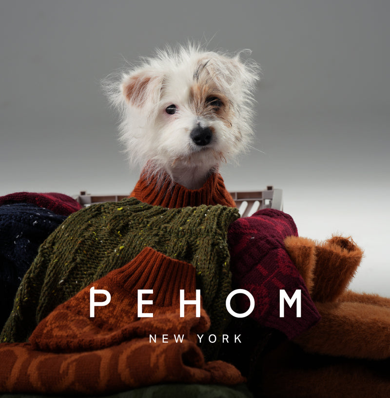 Pretzel Pet Sweater - Tofee Orange