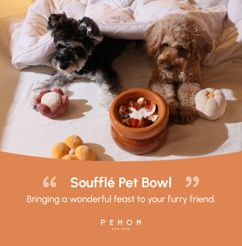 Soufflé Pet Bowl - Amber Orange