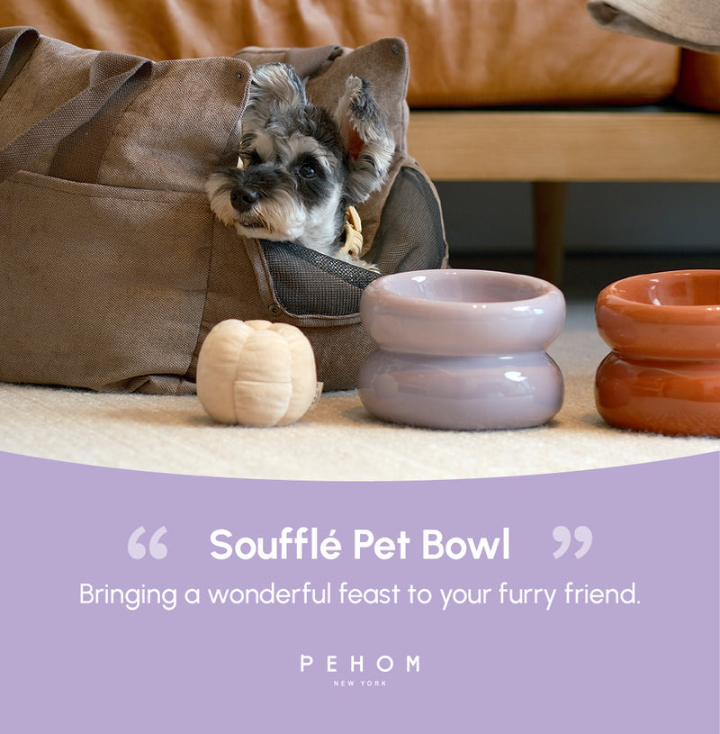 Soufflé Pet Bowl - Purple