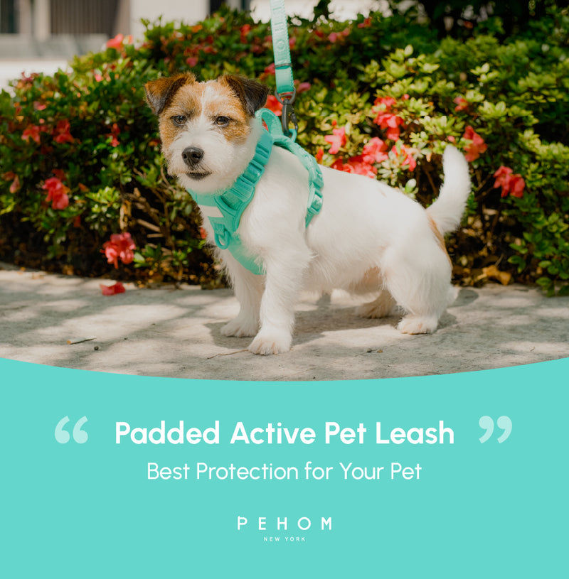 PADDED  ACTIVE  PET LEASH  - MINT GREEN