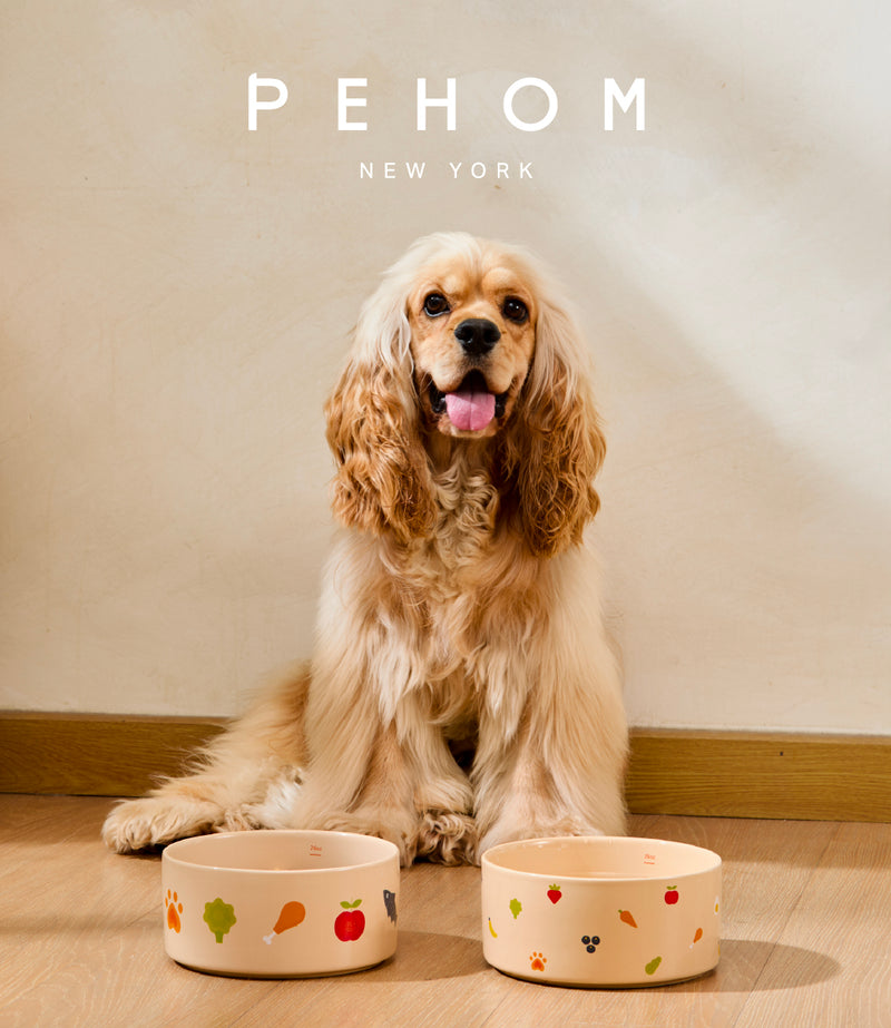 Ceramic Pet Bowl - Nomnom Bowl