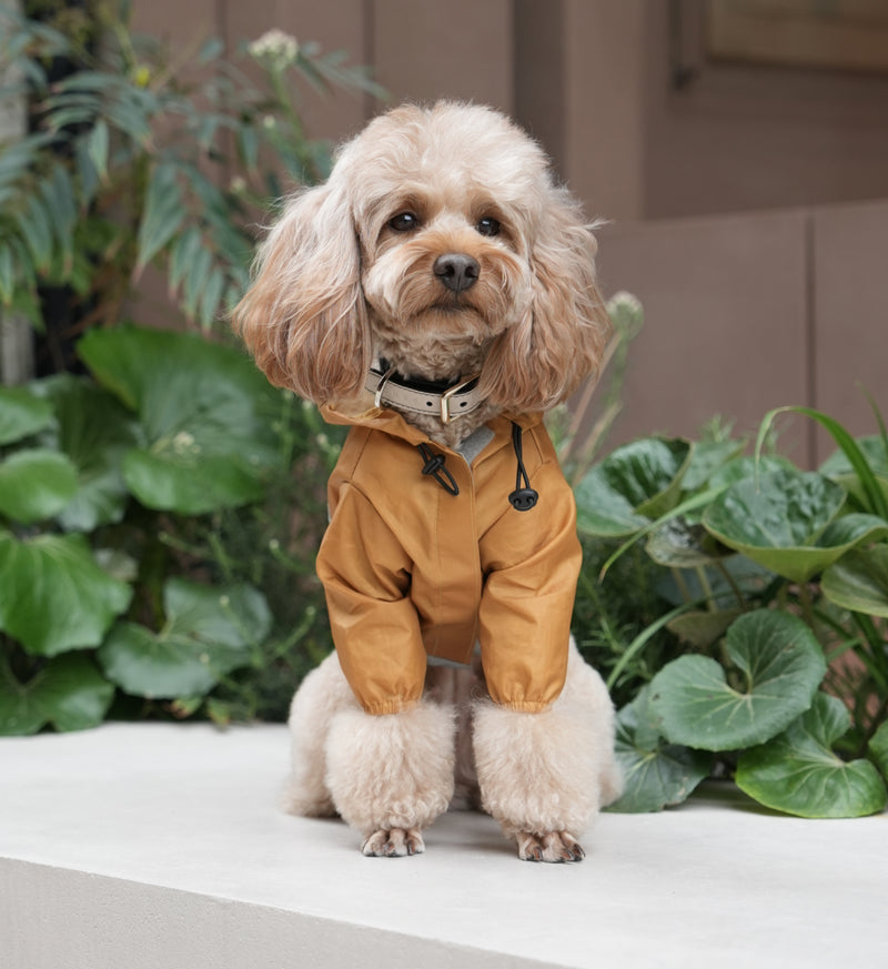 超軽量 フルカバー フード付き 防水 犬用ジャケット - イエロー