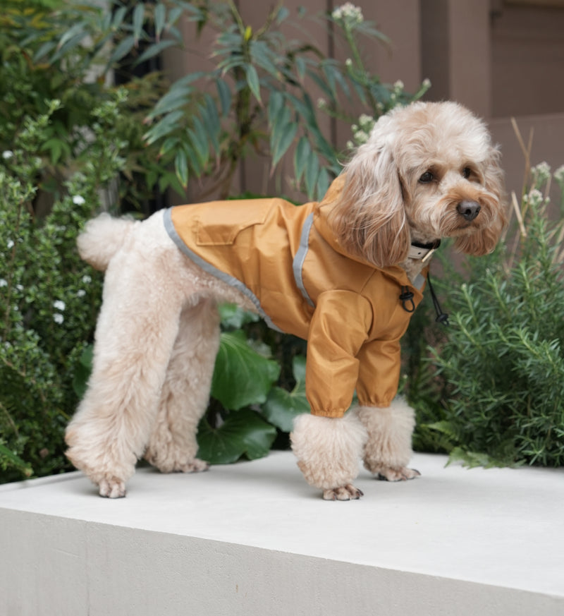 超軽量 フルカバー フード付き 防水 犬用ジャケット - イエロー