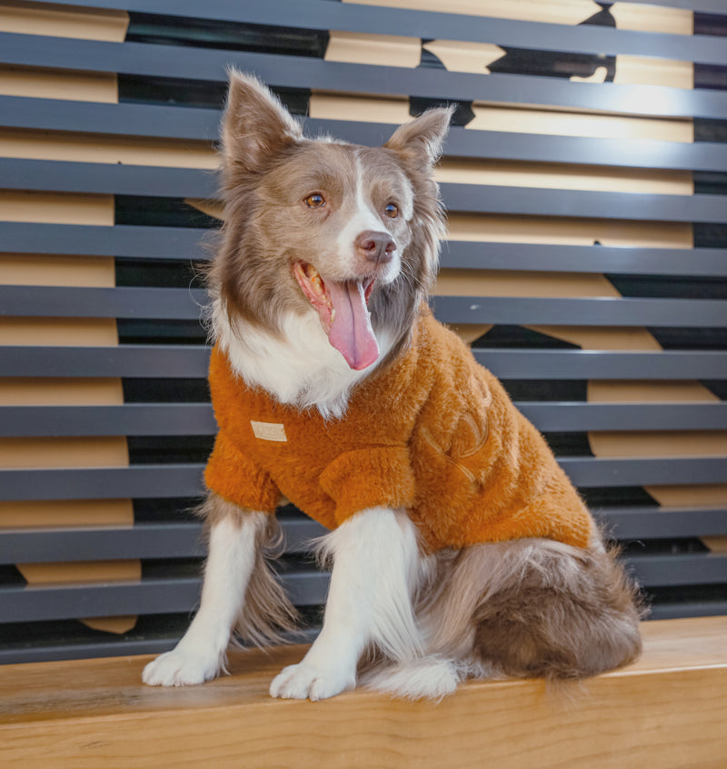 Eskimo Fuzzy Sweater - Orange
