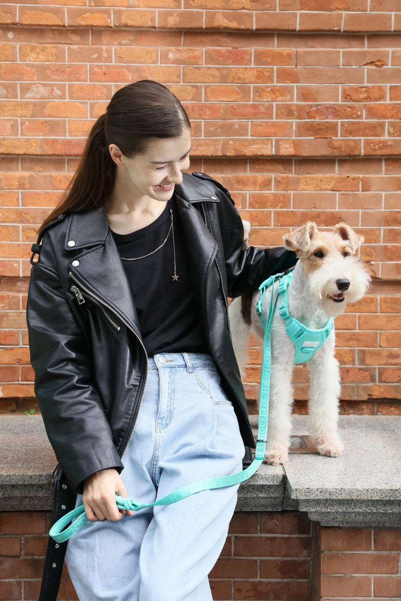 PADDED  ACTIVE  PET LEASH  - MINT GREEN