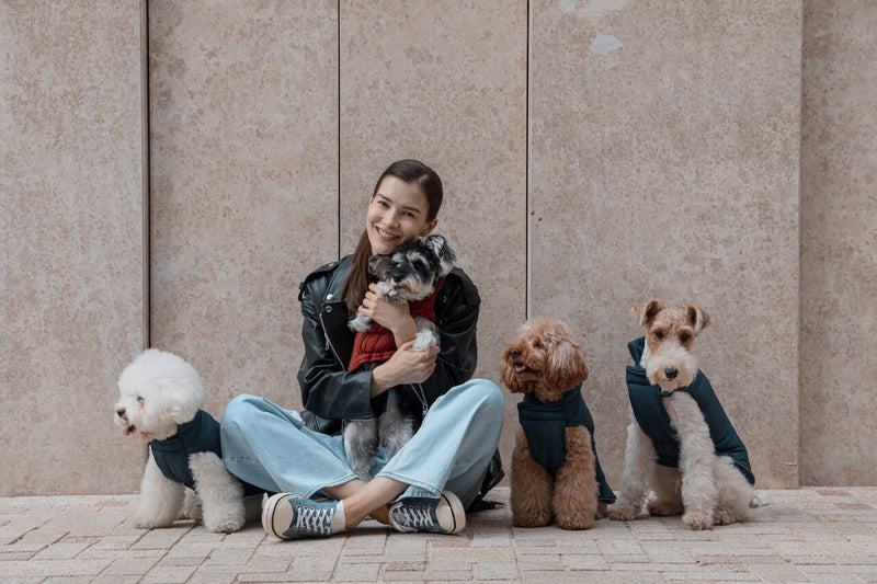 Reversible Dog Vest Jacket -  Red Brown