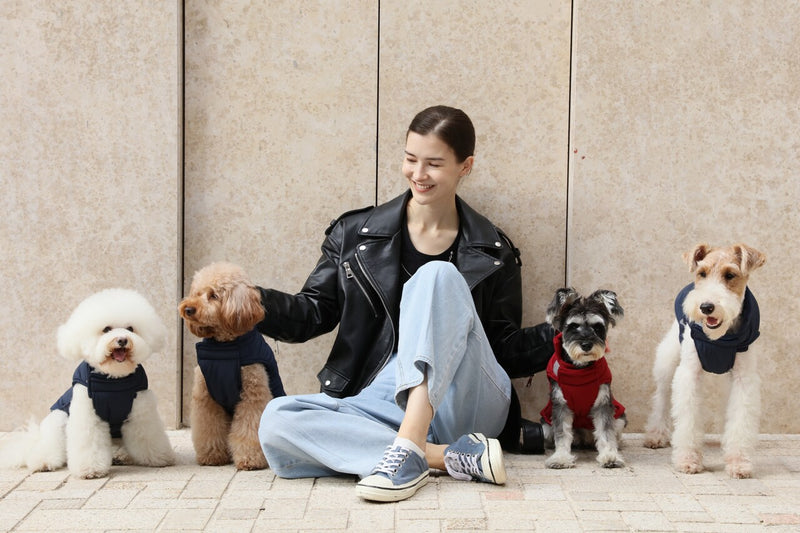 Reversible Dog Vest Jacket - Purple Caramel