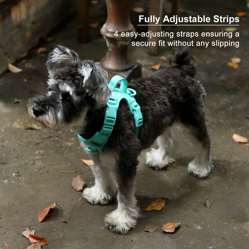 NO PULL ACTIVE  PET HARNESS - MINT PURPLE