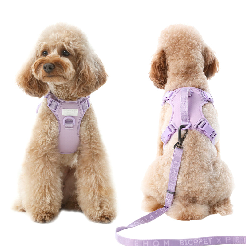 NO PULL ACTIVE  PET HARNESS - MINT PURPLE