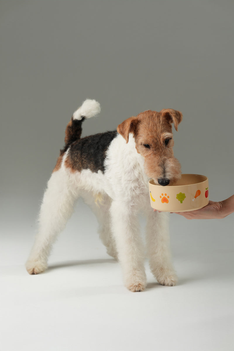 Ceramic Pet Bowl - Nomnom Bowl