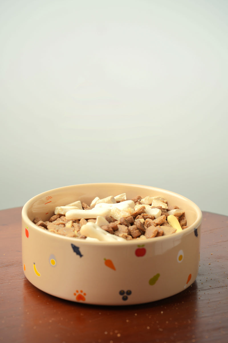 Ceramic Pet Bowl - Nomnom Bowl