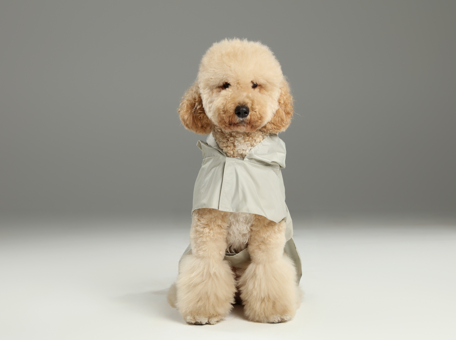 PEHOM｜Capsule Raincoat - Beige – pehomnyc
