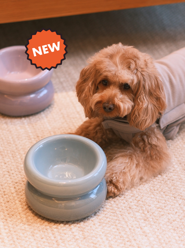 Soufflé Pet Bowl - Frozen Blue